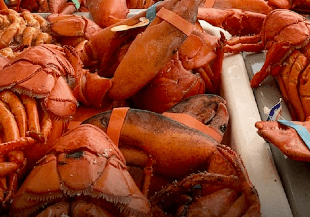 Souper homards Souper homards