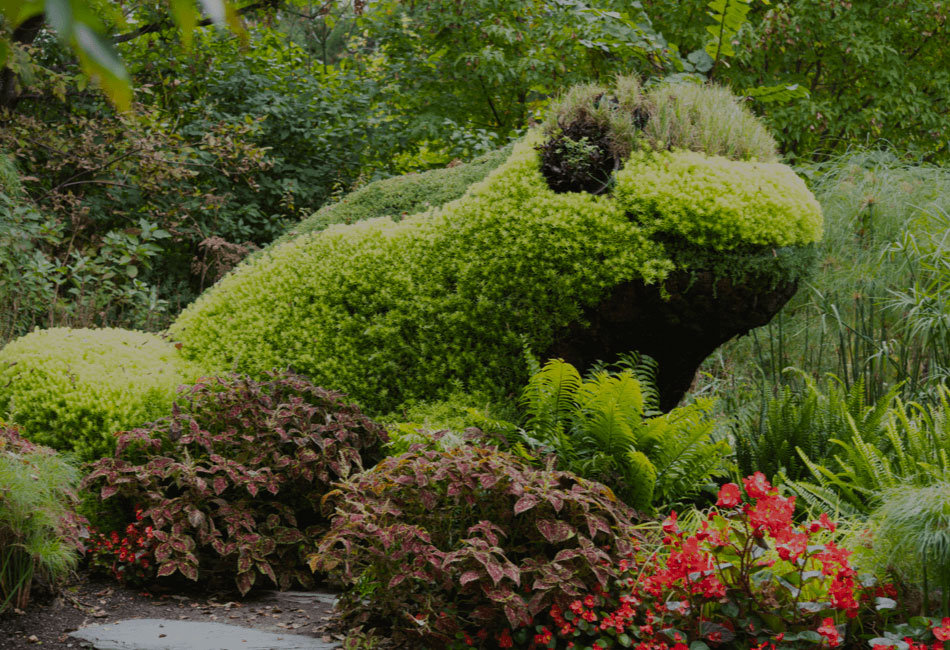 Découvrez le Parc