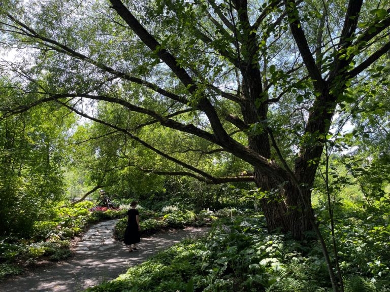 Le Parc Marie-Victorin, fier jardin écologique