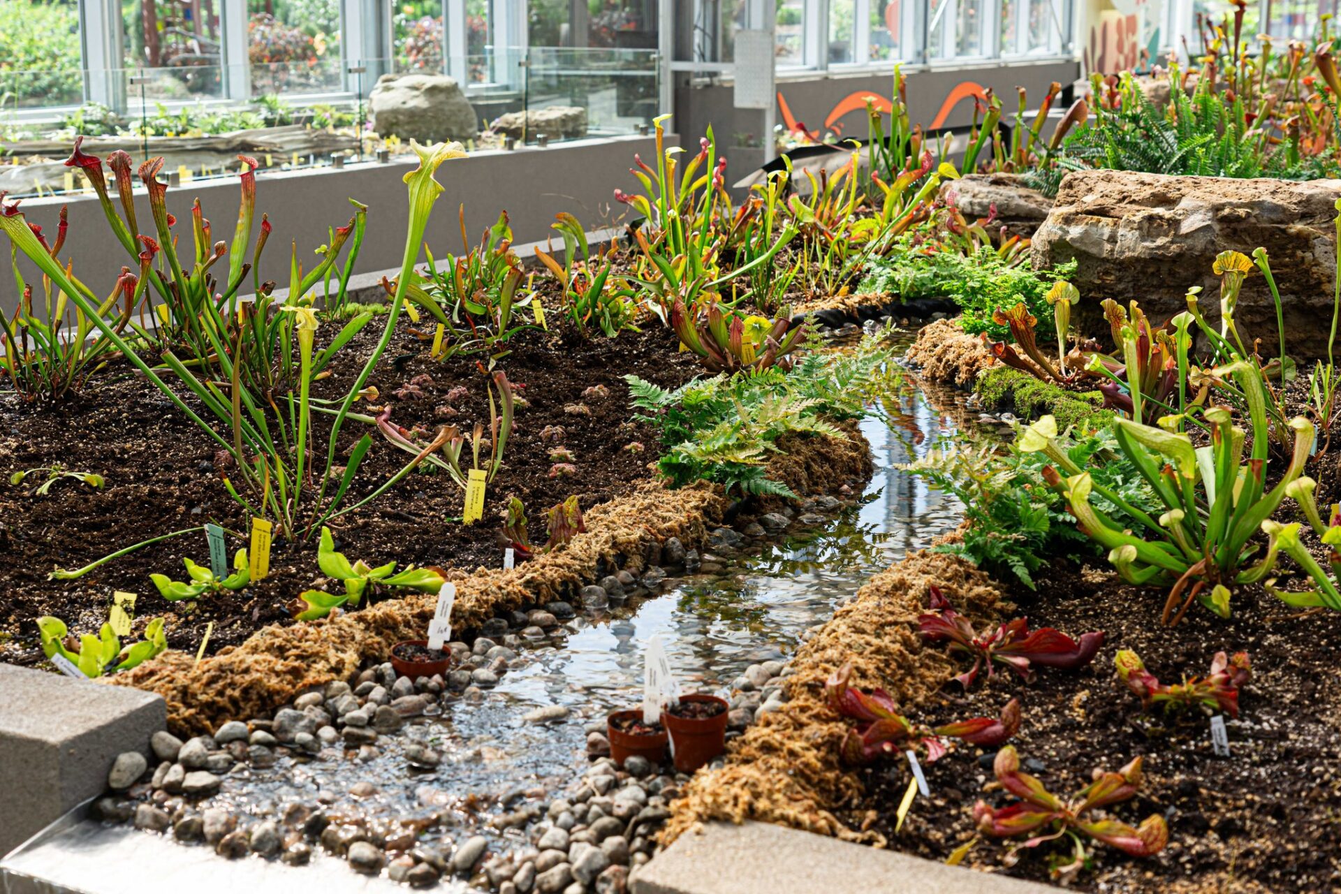 Exhibits | Parc Marie-Victorin