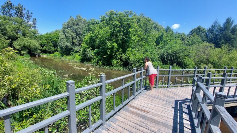 parc marie victorien passerelle