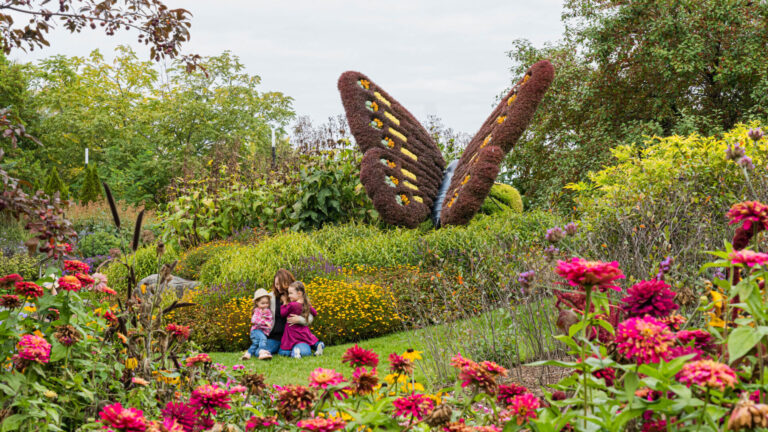 Famille devant la mosaïculture papillon