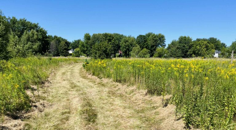 Le Parc Marie-Victorin, porteur d’un projet de conservation et d’éducation environnementale