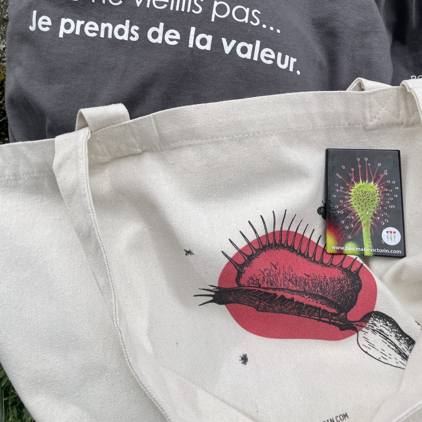 IMG 5166 edited IMG 5166 edited