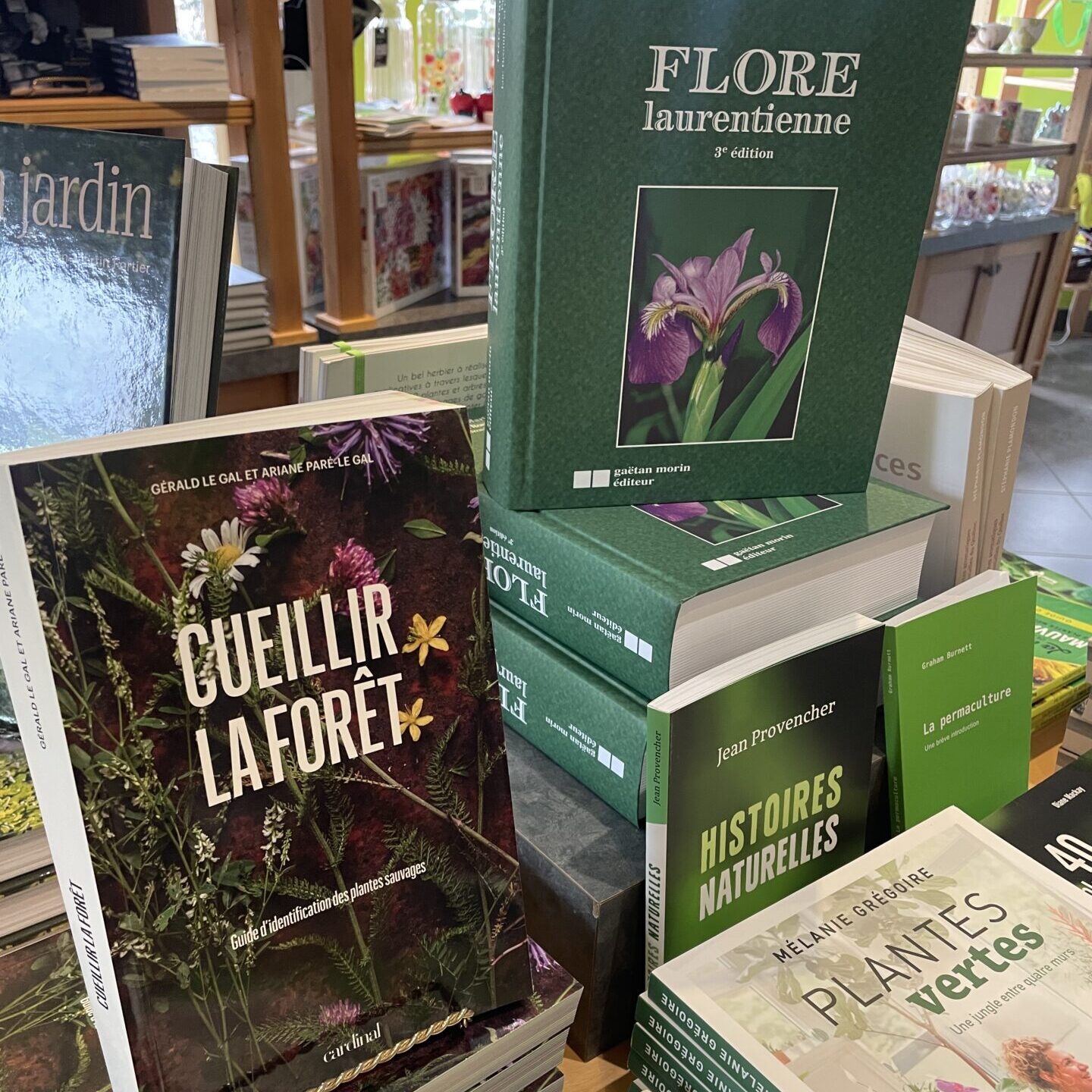 IMG 5739 edited IMG 5739 edited