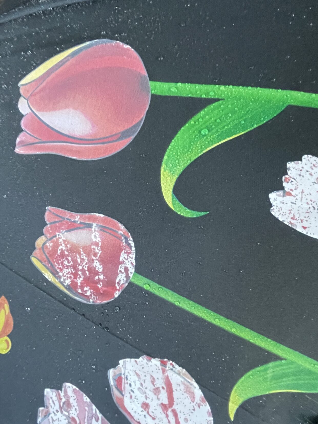 IMG 5807 edited IMG 5807 edited