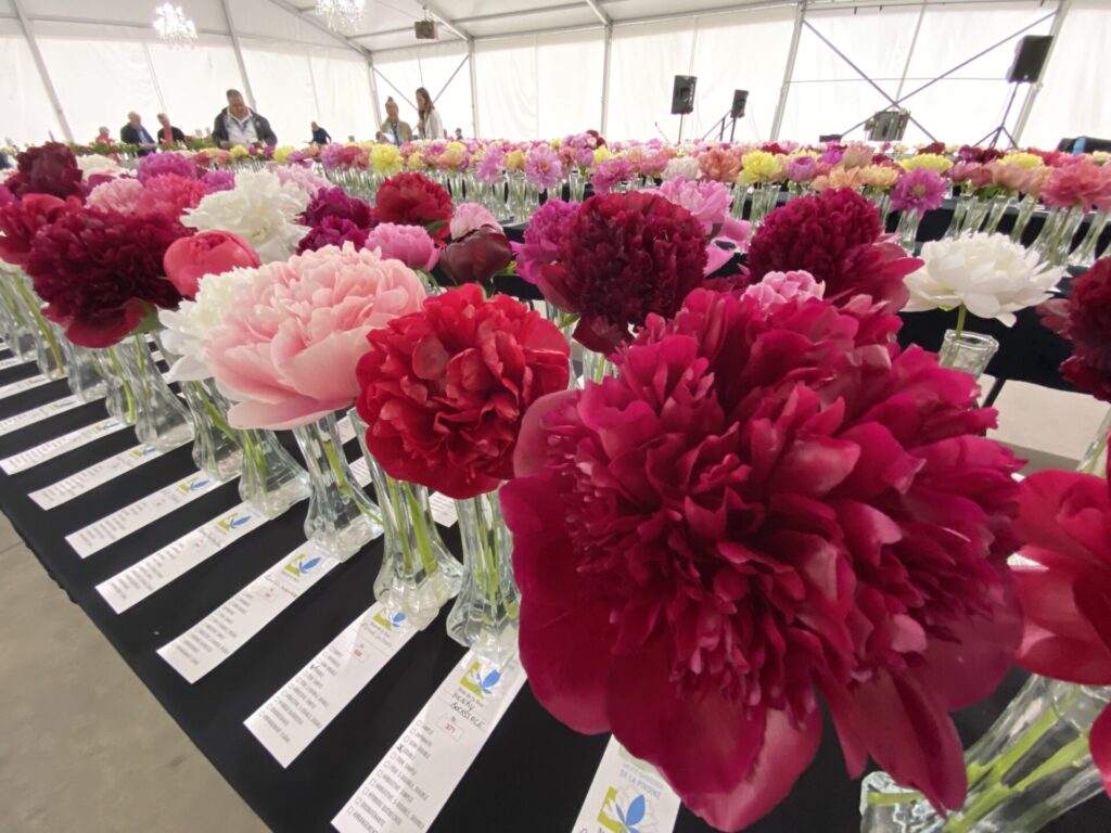 IMG 4744 1 IMG 4744 1